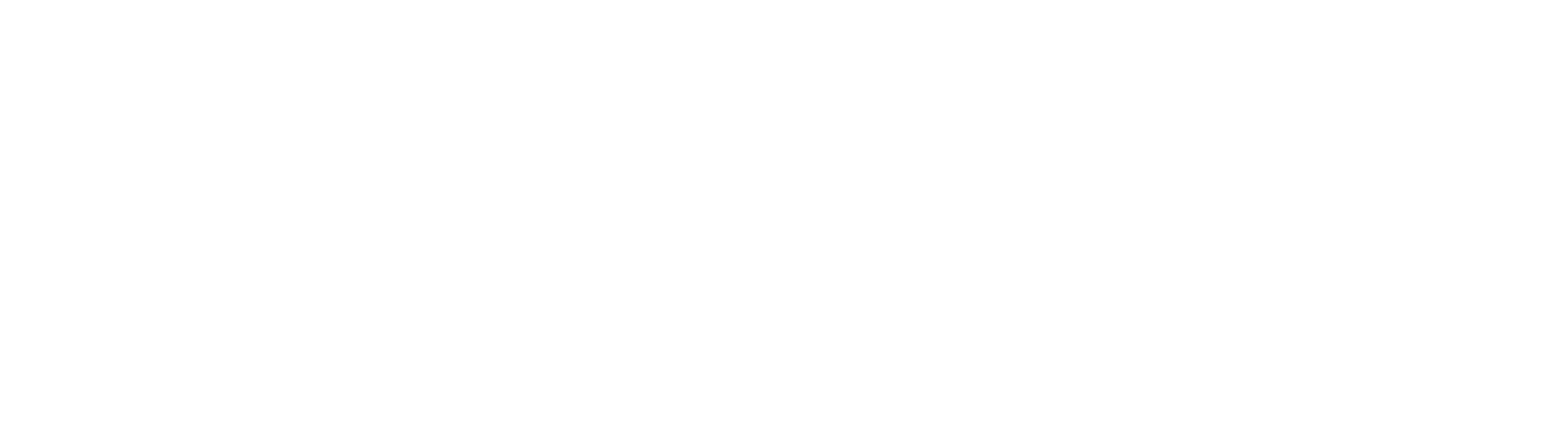 Wapzio logo